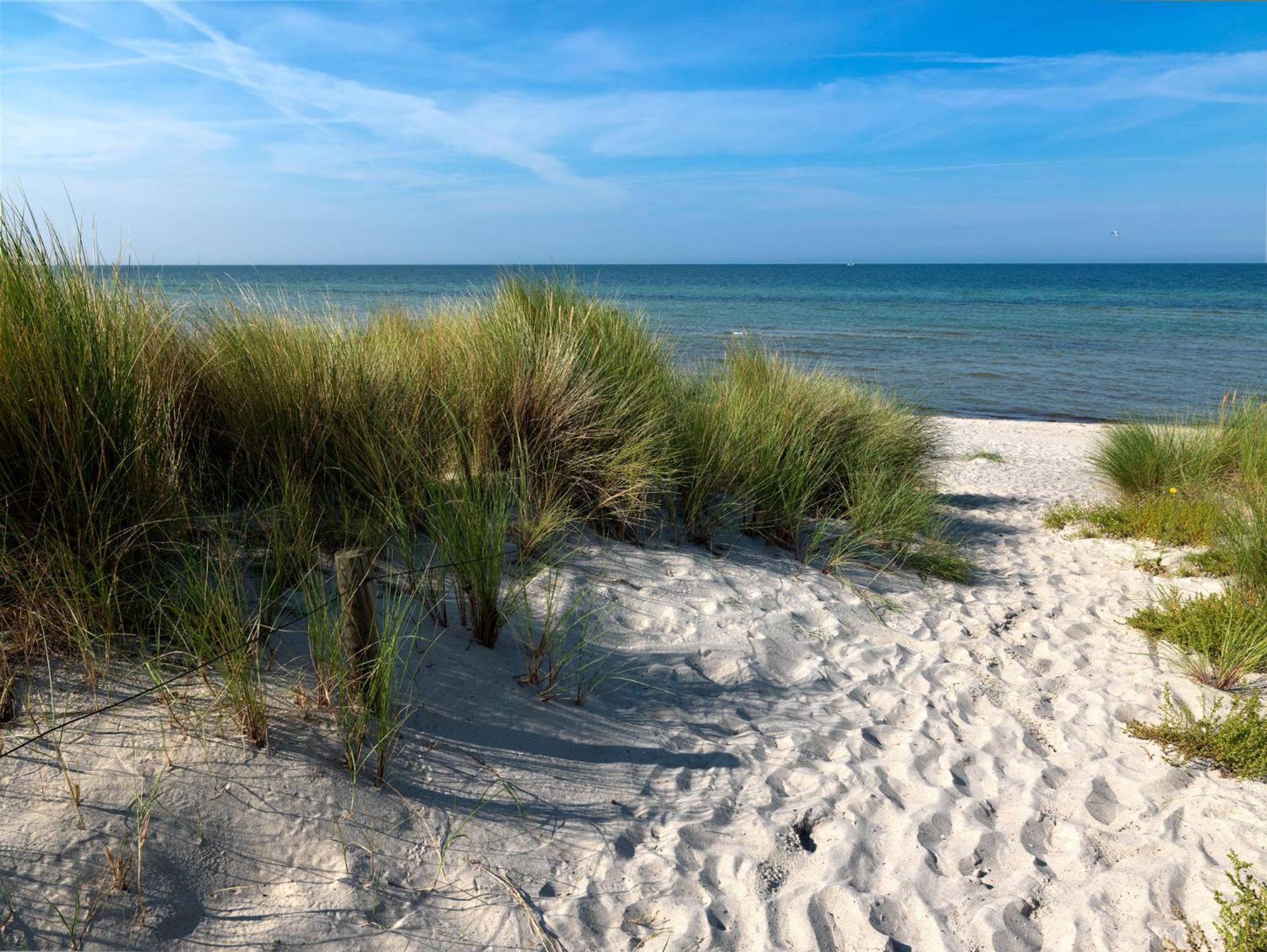 Haus Seeschwalbe Timmendorfer Strand Extérieur photo