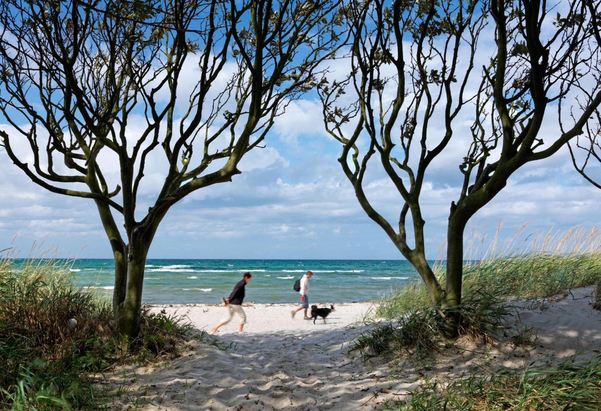 Haus Seeschwalbe Timmendorfer Strand Extérieur photo